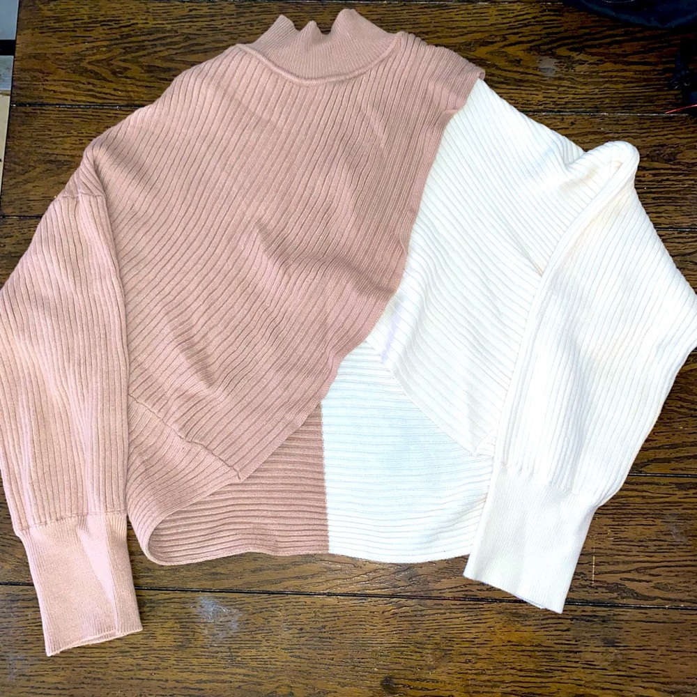 Express Turtleneck Sweater